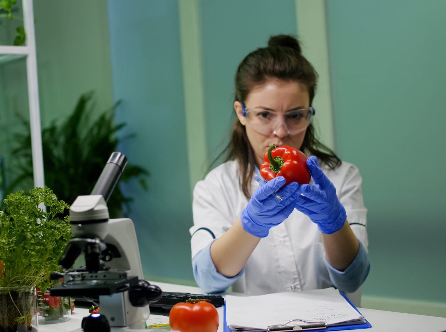 Biologist woman examining pepper writing microbiology medical expertise on notepad for analyzing agriculture. Scientist chemist discovering gmo fruits working in pharmacology laboratory